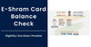 E-Shram Card Balance Check - Virtual Office, VPOB, APOB and GST Services - theGSTco