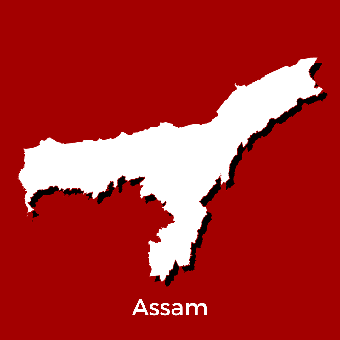 Assam VPPoB (GSTN PPOB + APOB)