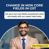 Change in Non Core Fields in GST - Get Expert Help Now - theGSTco
